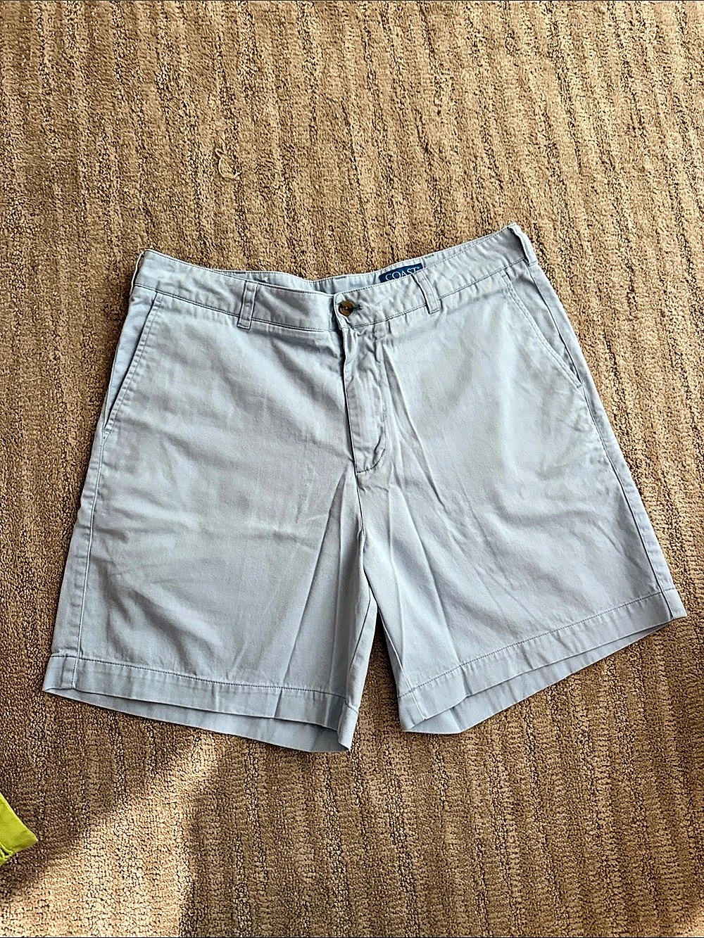 Coast Cotton Flat Front Shorts in Blue Size 34